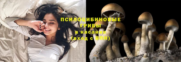 мескалин Алексин