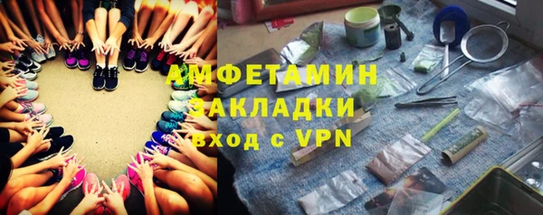 индика Дмитриев