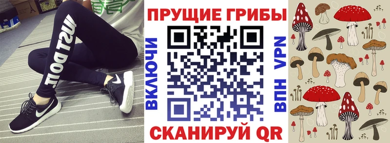Псилоцибиновые грибы Psilocybine cubensis  нарко площадка официальный сайт  Новая Ляля  купить   ссылка на мегу ссылка 